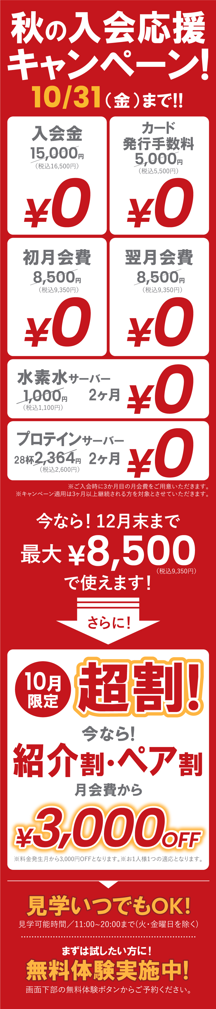 takaraduka _campaign